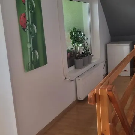 Goscinne Karina Jelení Hora