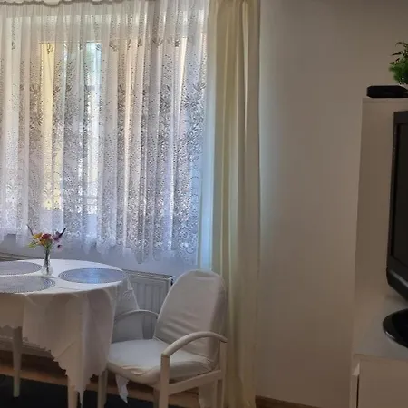 Проживание в семье Goscinne Karina *