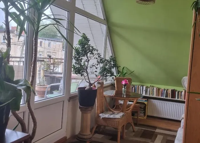 Goscinne Karina * Jelenia Góra